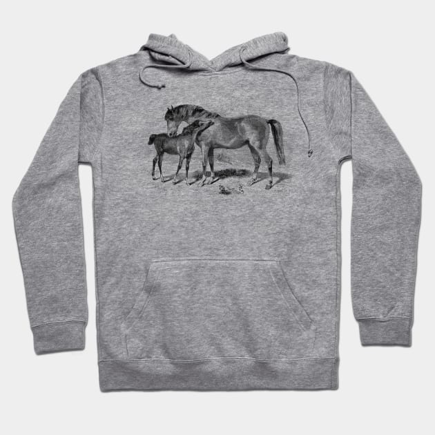 A Foal with Mare, Horses Vintage Black & White  Illustration Hoodie by Biophilia